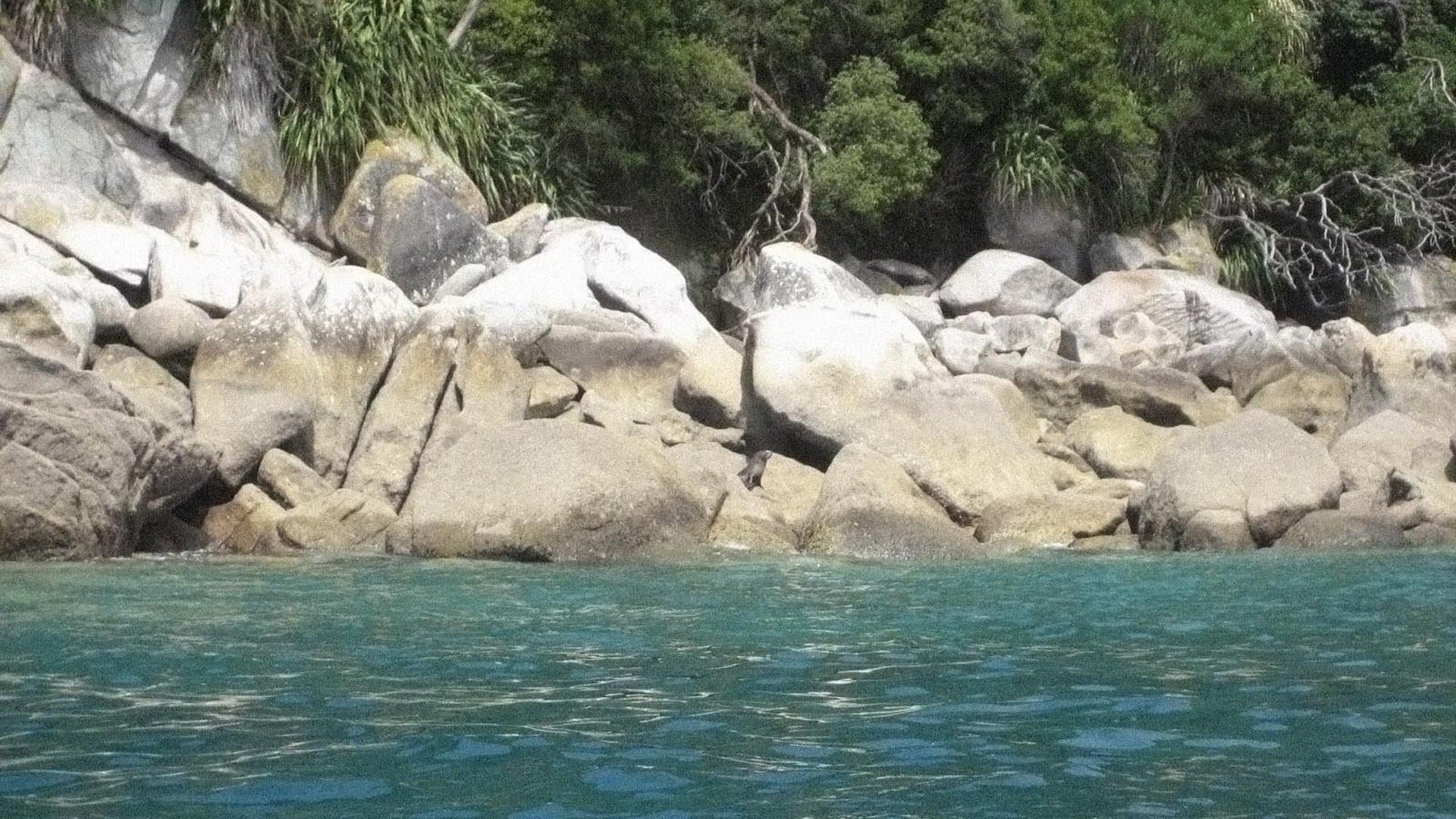 The Other Side of Heaven Backdrop