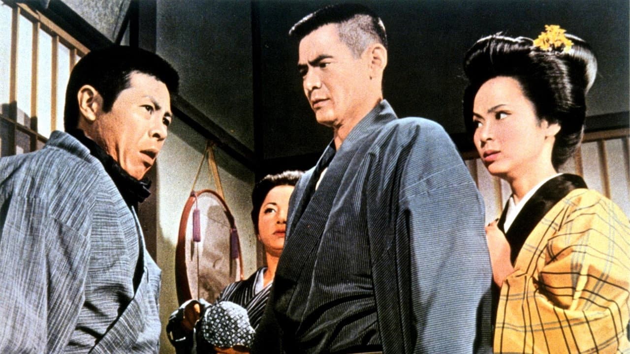 Code Between Brothers: All New Backdrop