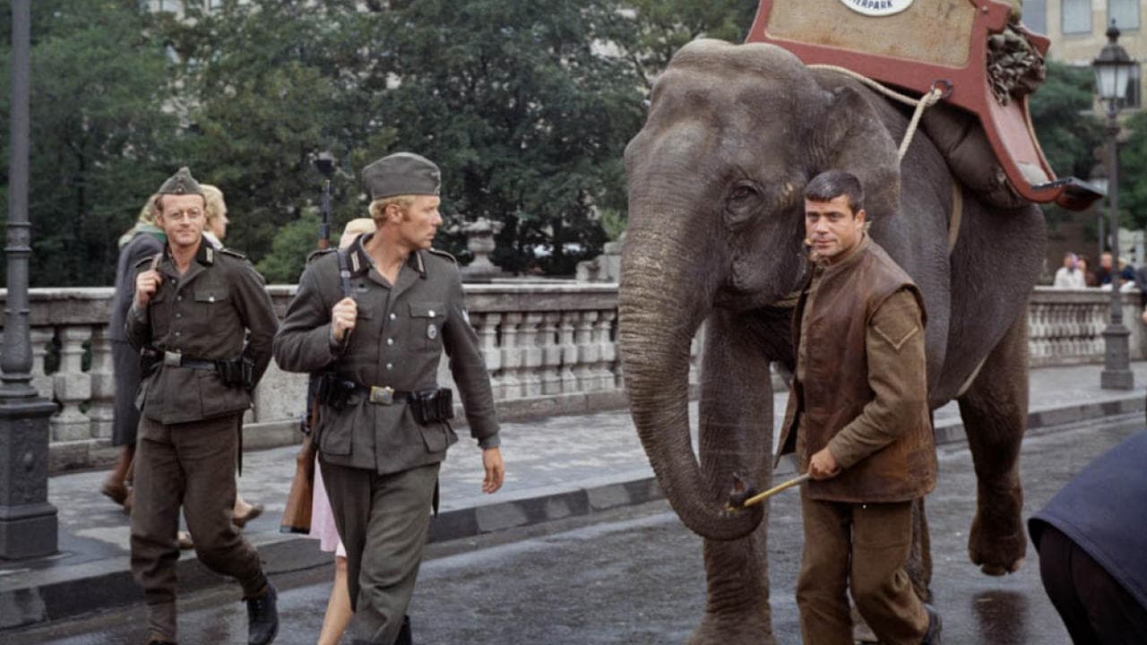 Hannibal Brooks Backdrop