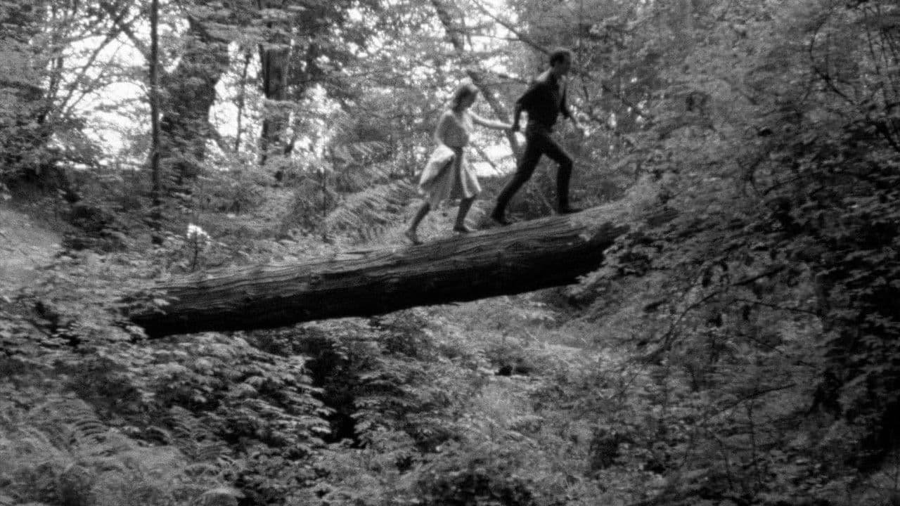 The Bitter Ash Backdrop