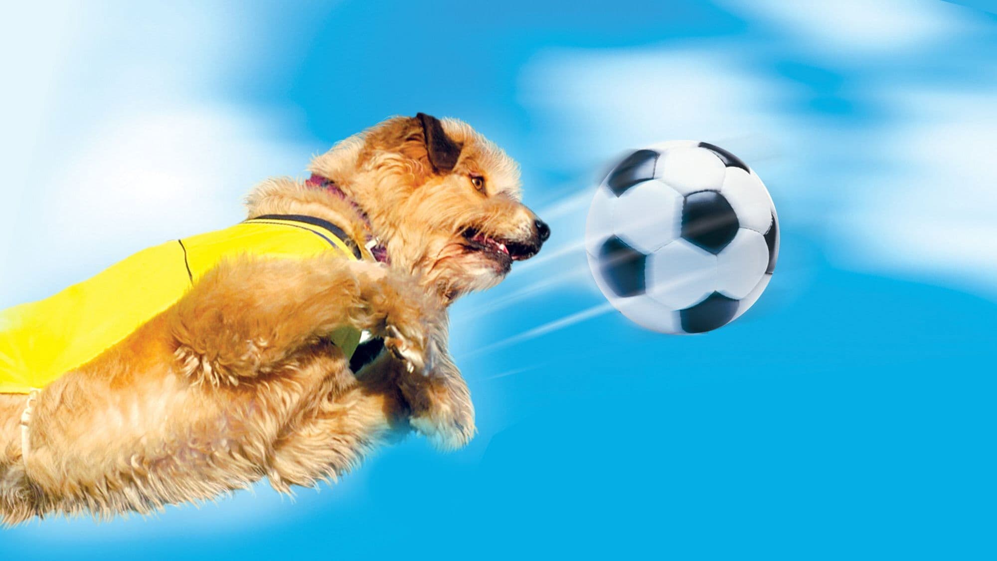 Soccer Dog 2: European Cup Backdrop